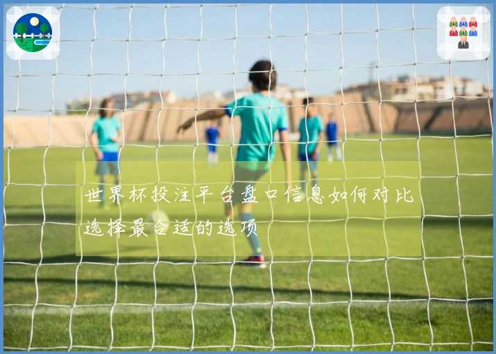 世界杯投注平台盘口信息如何对比选择最合适的选项