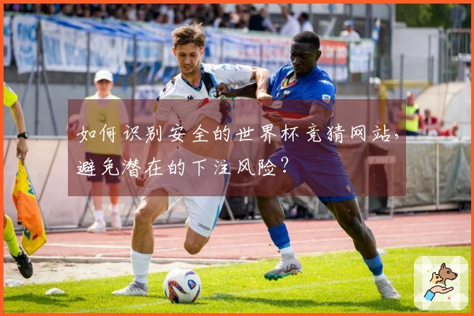 如何识别安全的世界杯竞猜网站，避免潜在的下注风险？