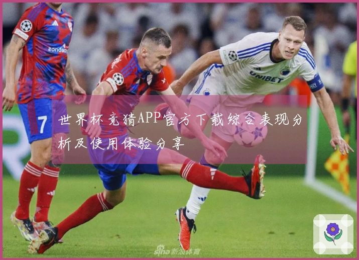世界杯竞猜APP官方下载综合表现分析及使用体验分享