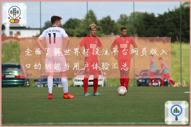 全面了解世界杯投注平台网页版入口的功能与用户体验汇总