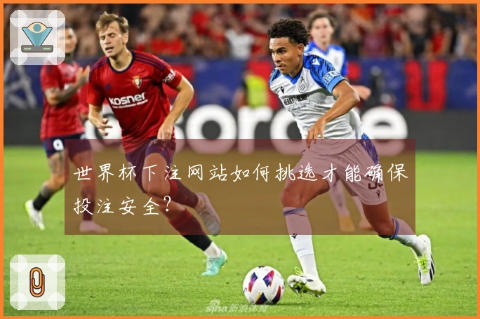 世界杯下注网站如何挑选才能确保投注安全？