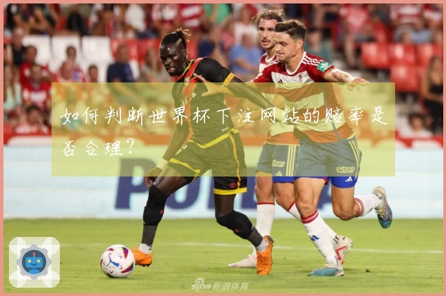 如何判断世界杯下注网站的赔率是否合理？