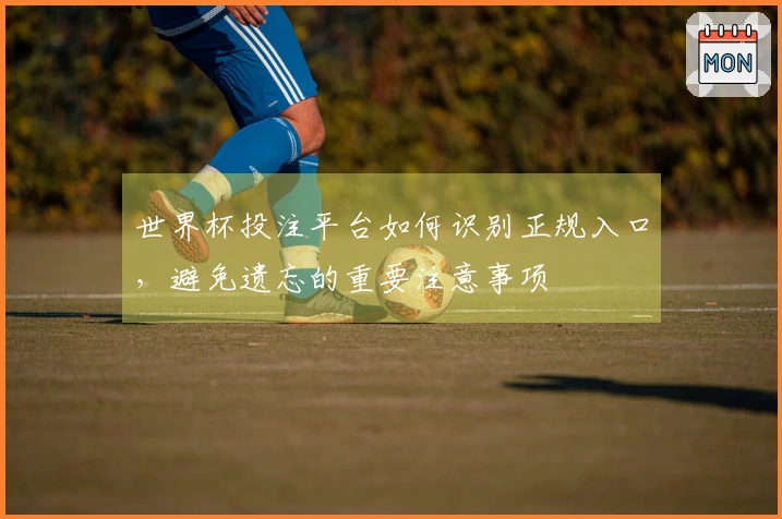 世界杯投注平台如何识别正规入口，避免遗忘的重要注意事项