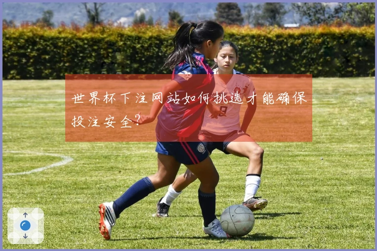 世界杯下注网站如何挑选才能确保投注安全？