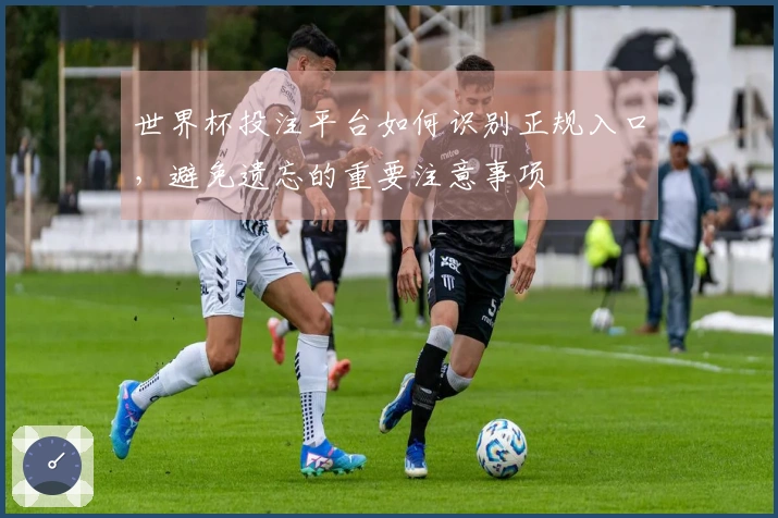 世界杯投注平台如何识别正规入口，避免遗忘的重要注意事项