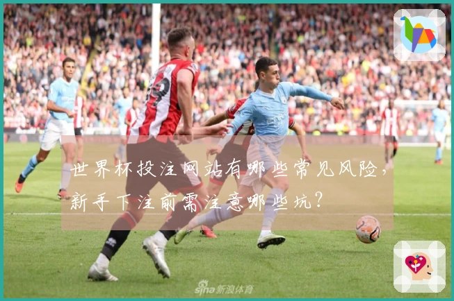 世界杯投注网站有哪些常见风险，新手下注前需注意哪些坑？