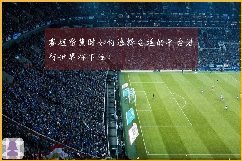 赛程密集时如何选择合适的平台进行世界杯下注？