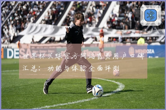 世界杯买球官方网站首页用户口碑汇总：功能与体验全面评测