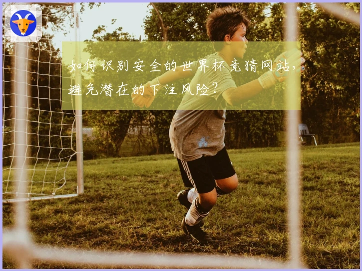 如何识别安全的世界杯竞猜网站，避免潜在的下注风险？