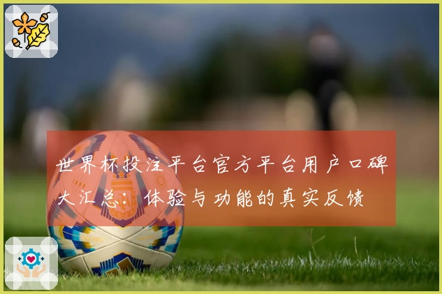 世界杯投注平台官方平台用户口碑大汇总：体验与功能的真实反馈