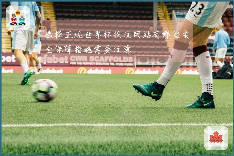 选择正规世界杯投注网站有哪些安全保障措施需要注意