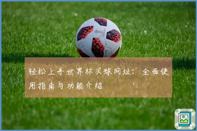 轻松上手世界杯买球网址：全面使用指南与功能介绍