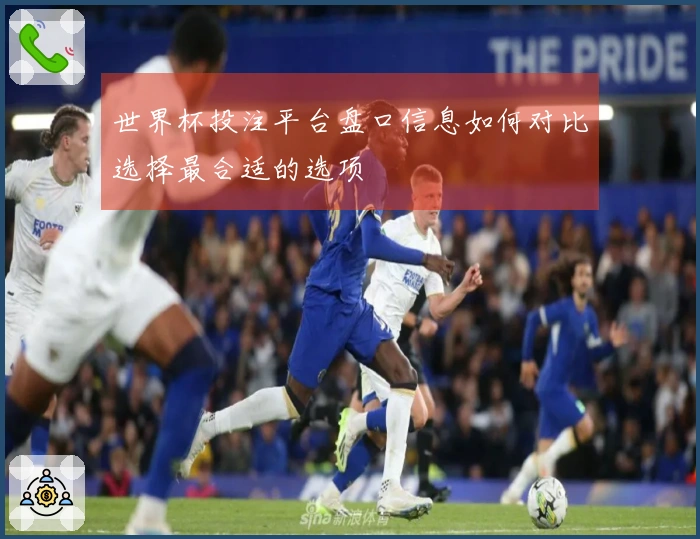 世界杯投注平台盘口信息如何对比选择最合适的选项