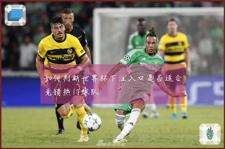 如何判断世界杯下注入口是否适合竞猜热门球队