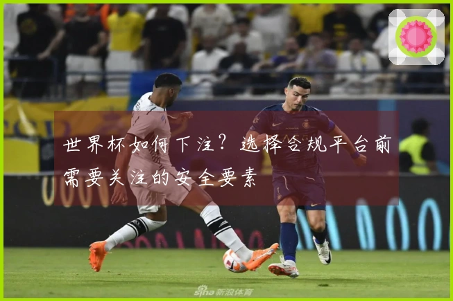 世界杯如何下注？选择合规平台前需要关注的安全要素