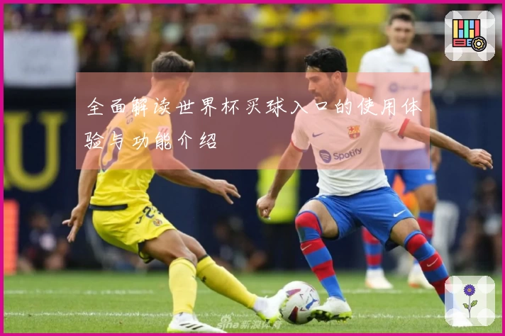 全面解读世界杯买球入口的使用体验与功能介绍