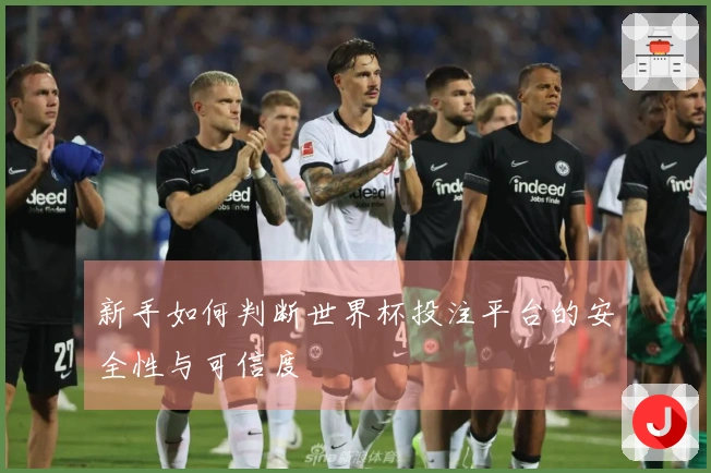 新手如何判断世界杯投注平台的安全性与可信度